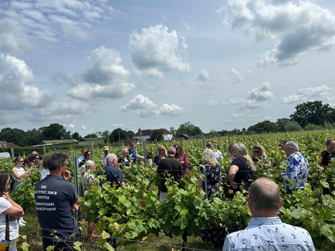 Wine Tasting Networking Event